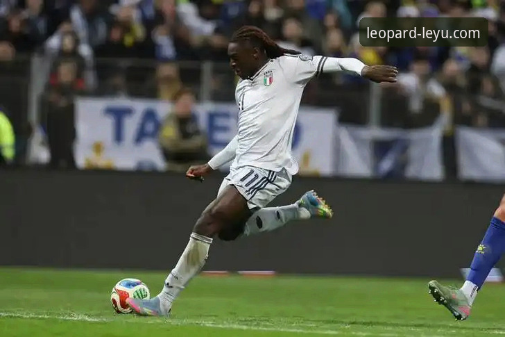 意大利连续三届无缘世界杯，球迷在乐鱼体育平台深度复盘出局原因