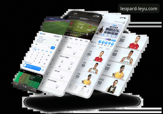 乐鱼体育平台官网入口与使用详解